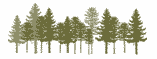 trees